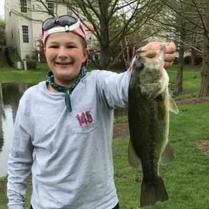 Meet your Posher, Thomas